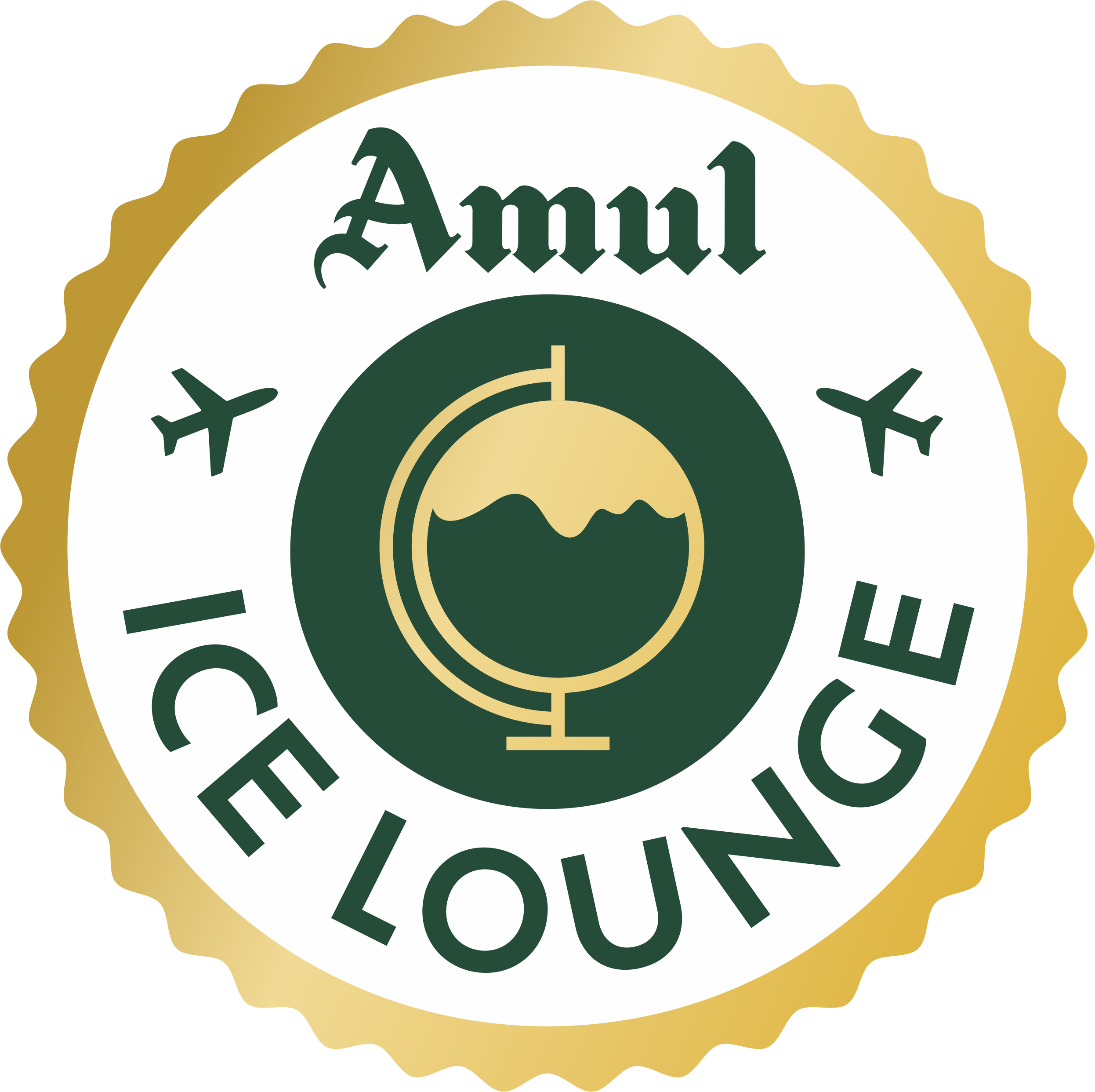 12. Amul Ice Lounge